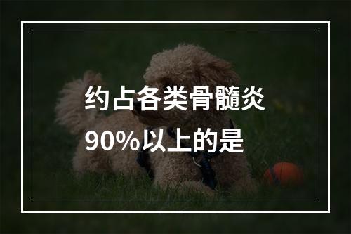 约占各类骨髓炎90%以上的是