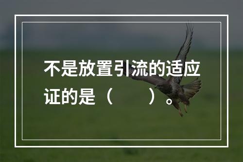 不是放置引流的适应证的是（　　）。