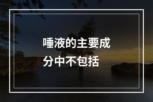 唾液的主要成分中不包括