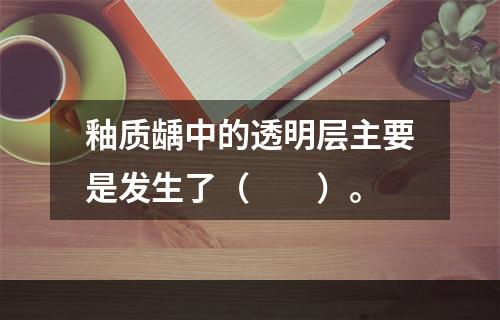 釉质龋中的透明层主要是发生了（　　）。