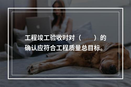 工程竣工验收时对（　　）的确认应符合工程质量总目标。