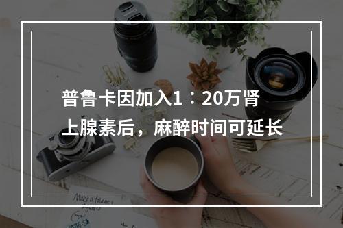 普鲁卡因加入1∶20万肾上腺素后，麻醉时间可延长