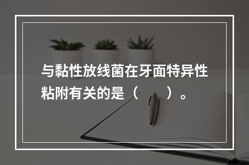 与黏性放线菌在牙面特异性粘附有关的是（　　）。