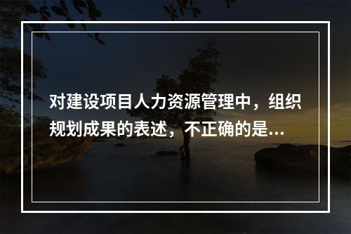 对建设项目人力资源管理中，组织规划成果的表述，不正确的是（