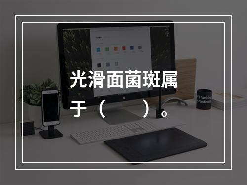 光滑面菌斑属于（　　）。