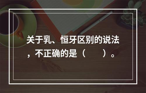 关于乳、恒牙区别的说法，不正确的是（　　）。