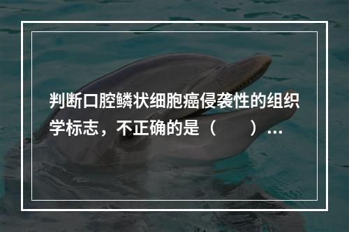 判断口腔鳞状细胞癌侵袭性的组织学标志，不正确的是（　　）。