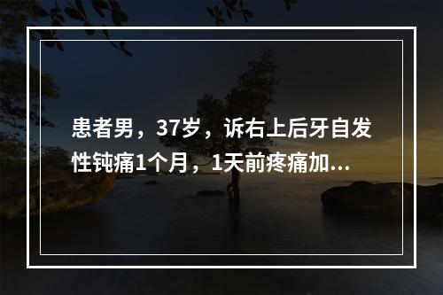 患者男，37岁，诉右上后牙自发性钝痛1个月，1天前疼痛加重，