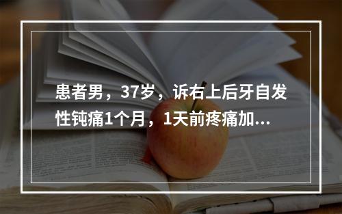 患者男，37岁，诉右上后牙自发性钝痛1个月，1天前疼痛加重，