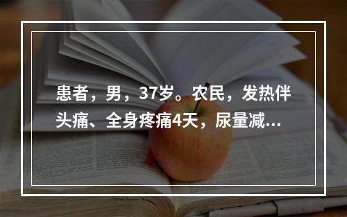 患者，男，37岁。农民，发热伴头痛、全身疼痛4天，尿量减少