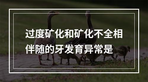 过度矿化和矿化不全相伴随的牙发育异常是