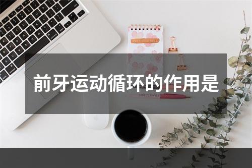 前牙运动循环的作用是