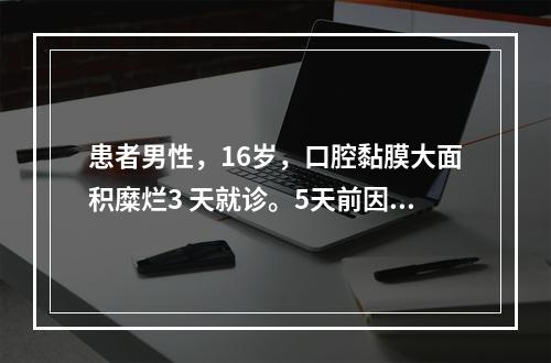 患者男性，16岁，口腔黏膜大面积糜烂3 天就诊。5天前因感冒