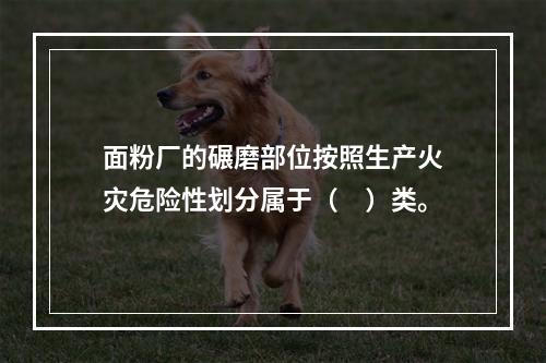 面粉厂的碾磨部位按照生产火灾危险性划分属于（　）类。