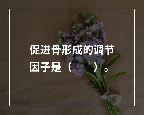 促进骨形成的调节因子是（　　）。