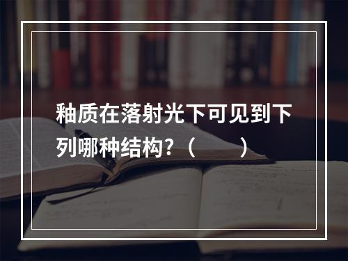 釉质在落射光下可见到下列哪种结构?（　　）