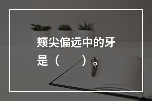 颊尖偏远中的牙是（　　）。