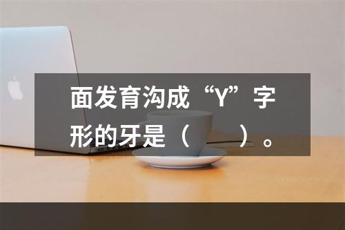 面发育沟成“Y”字形的牙是（　　）。