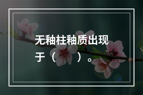 无釉柱釉质出现于（　　）。