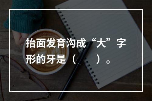 抬面发育沟成“大”字形的牙是（　　）。