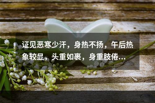 证见恶寒少汗，身热不扬，午后热象较显，头重如裹，身重肢倦，