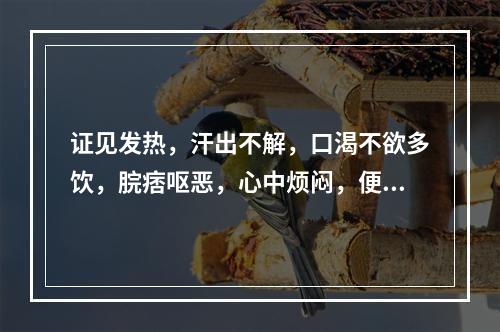 证见发热，汗出不解，口渴不欲多饮，脘痞呕恶，心中烦闷，便溏