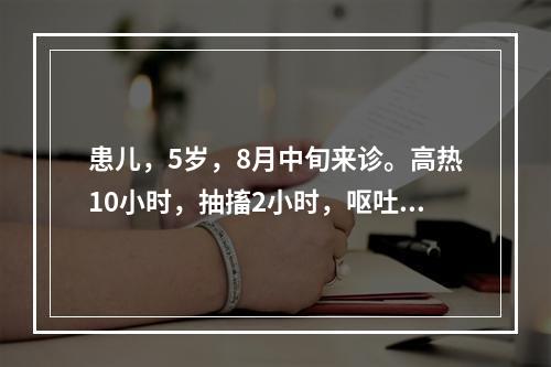 患儿，5岁，8月中旬来诊。高热10小时，抽搐2小时，呕吐一