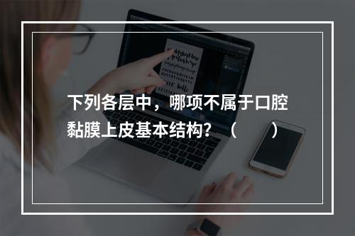 下列各层中，哪项不属于口腔黏膜上皮基本结构？（　　）