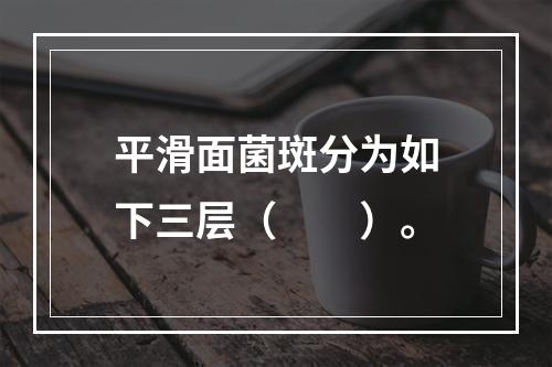 平滑面菌斑分为如下三层（　　）。