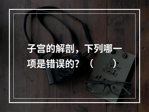 子宫的解剖，下列哪一项是错误的？（　　）