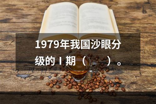 1979年我国沙眼分级的Ⅰ期（　　）。