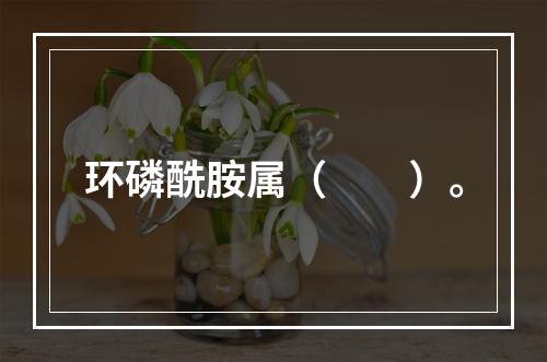 环磷酰胺属（　　）。