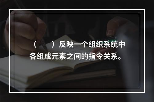 （　　）反映一个组织系统中各组成元素之间的指令关系。