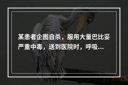 某患者企图自杀，服用大量巴比妥严重中毒，送到医院时，呼吸已经