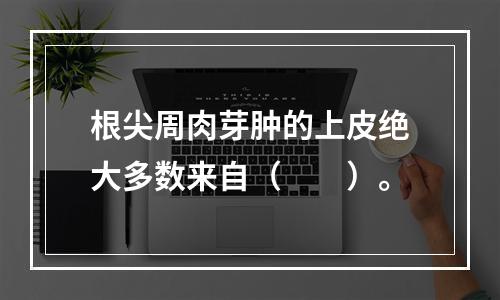 根尖周肉芽肿的上皮绝大多数来自（　　）。