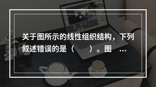 关于图所示的线性组织结构，下列叙述错误的是（　　）。图　线