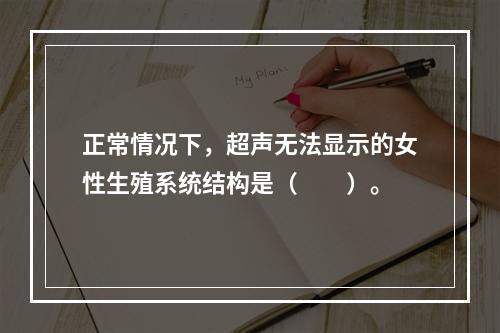 正常情况下，超声无法显示的女性生殖系统结构是（　　）。