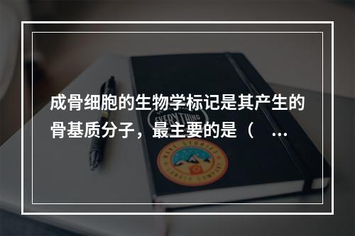 成骨细胞的生物学标记是其产生的骨基质分子，最主要的是（　　）