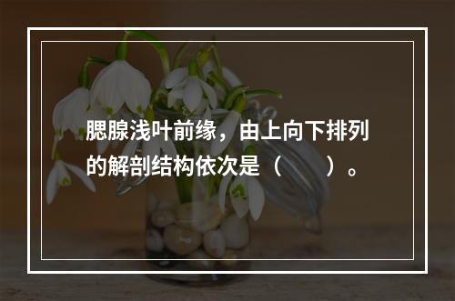 腮腺浅叶前缘，由上向下排列的解剖结构依次是（　　）。