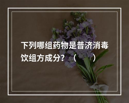 下列哪组药物是普济消毒饮组方成分？（　　）