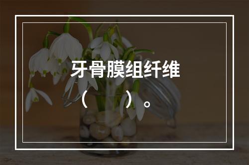 牙骨膜组纤维（　　）。