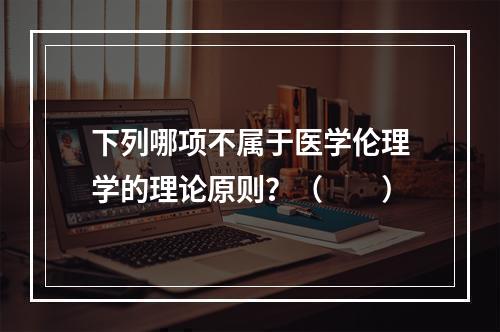 下列哪项不属于医学伦理学的理论原则？（　　）