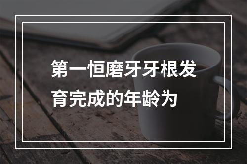 第一恒磨牙牙根发育完成的年龄为