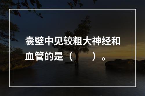 囊壁中见较粗大神经和血管的是（　　）。