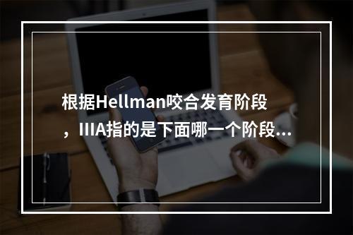 根据Hellman咬合发育阶段，ⅢA指的是下面哪一个阶段?（