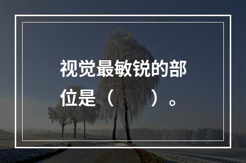 视觉最敏锐的部位是（　　）。