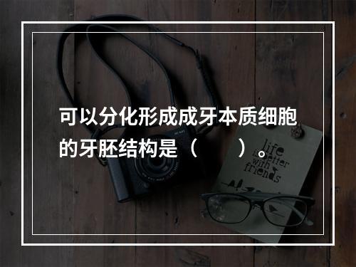 可以分化形成成牙本质细胞的牙胚结构是（　　）。