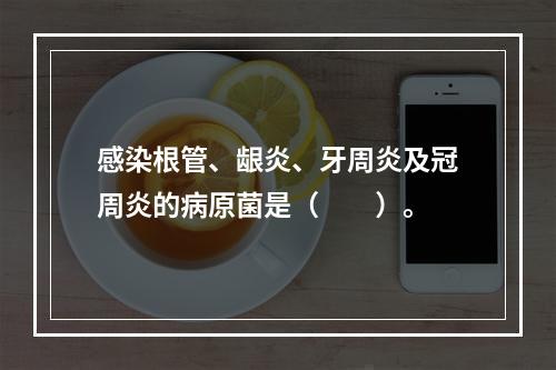 感染根管、龈炎、牙周炎及冠周炎的病原菌是（　　）。