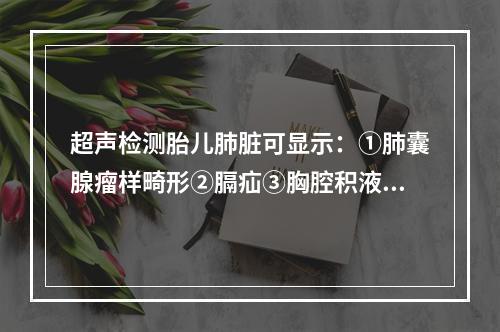 超声检测胎儿肺脏可显示：①肺囊腺瘤样畸形②膈疝③胸腔积液④