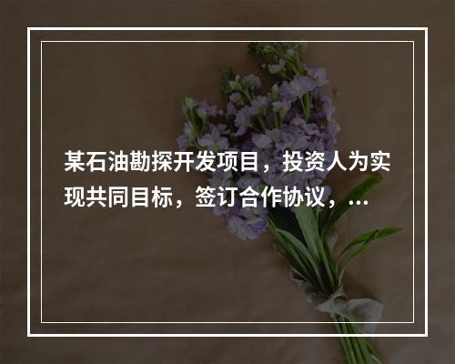 某石油勘探开发项目，投资人为实现共同目标，签订合作协议，约